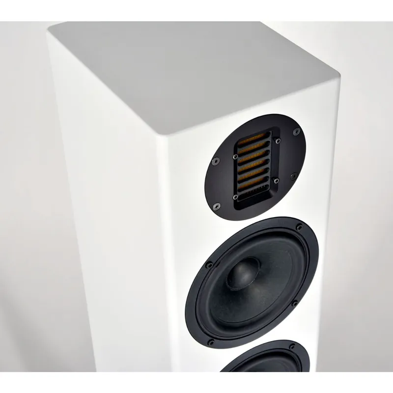Abacus Cortex 15S (pro Paar) Nur Heute