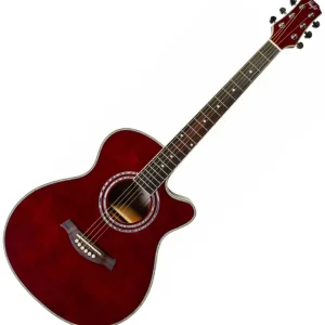Preisknaller FLIGHT F-230C WR Akustikgitarre
