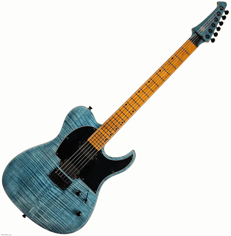 Garantierte Lieferung SPIRA T-450 TDB E-Gitarre