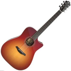 Schneller Versand FURCH GREEN DC-SR SPE Master's Choice SB Elektroakustische Gitarre