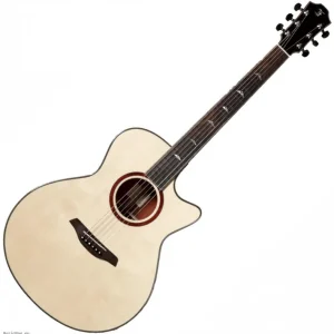 Meistverkauft FURCH RAINBOW GC-LP A SPA NAT Elektroakustikgitarre mit Tasche