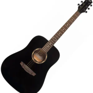Echt FLIGHT D-130 BK BK Akustikgitarre