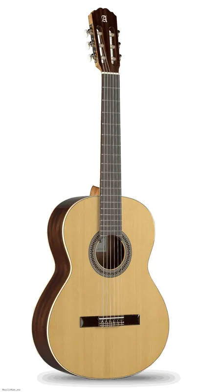 Schneller Versand ALHAMBRA 2C Klassikgitarre