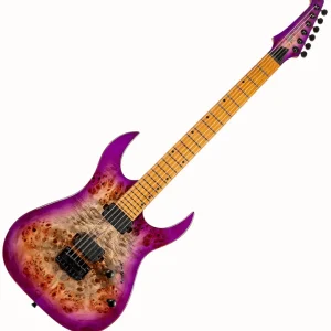 Sichere Zahlung SPIRA S-450 TPP E-Gitarre