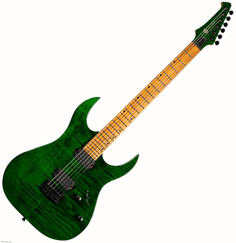 SPIRA S-450 TGR E-Gitarre Preisknaller