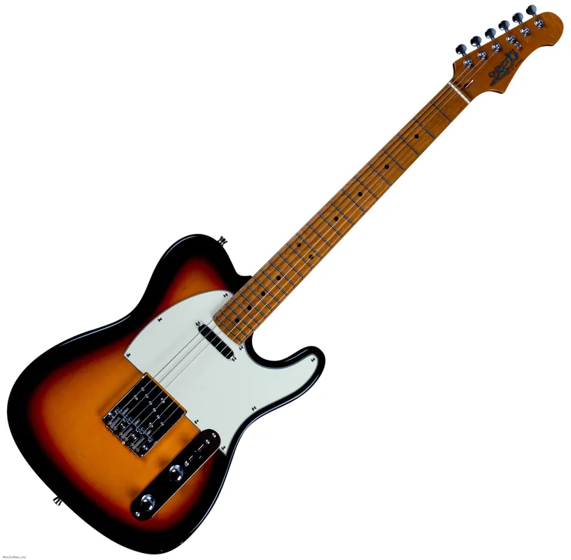 Schnäppchen JET JT-300 SB E-Gitarre