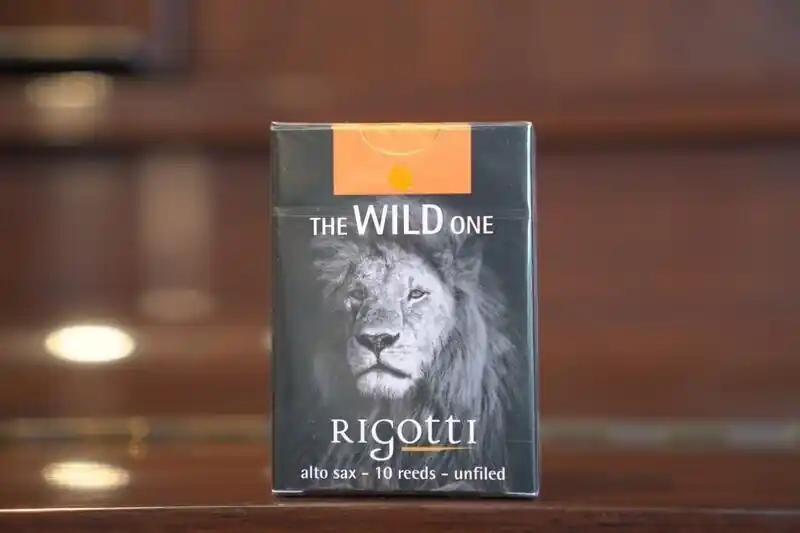 Billig Rigotti The Wild one unfiled Alt Saxophone 1.5