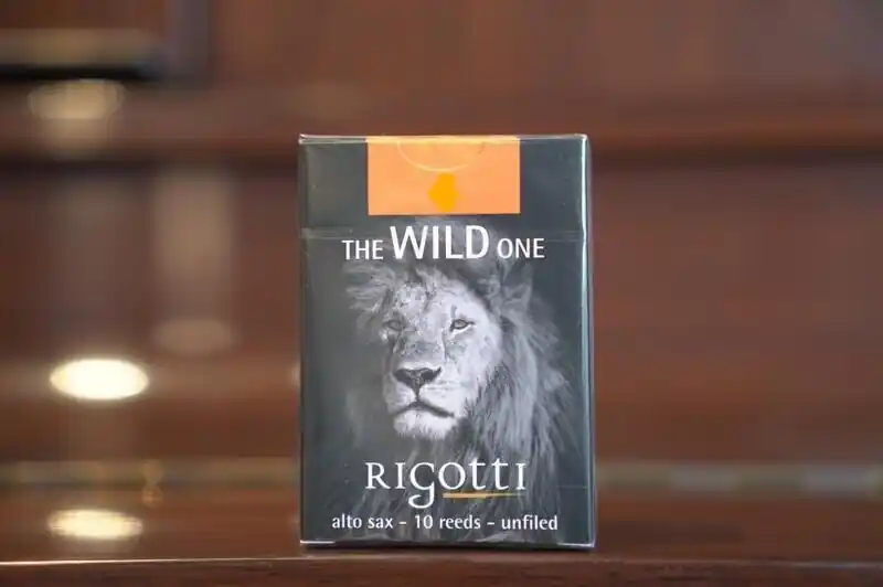 Top-Seller Rigotti The Wild one unfiled Alt Saxophone 3.5