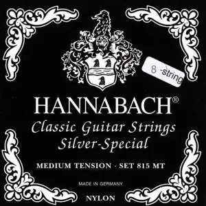 Schnäppchen 81508ZMT 8 saitig medium
