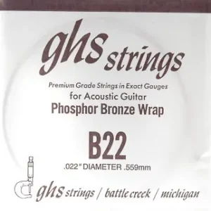 B22 Phosphor Bronze wound Aktuell