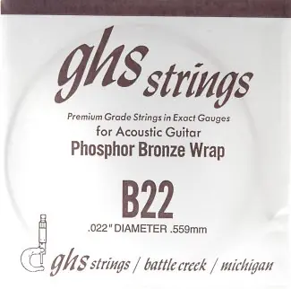 B22 Phosphor Bronze wound Aktuell