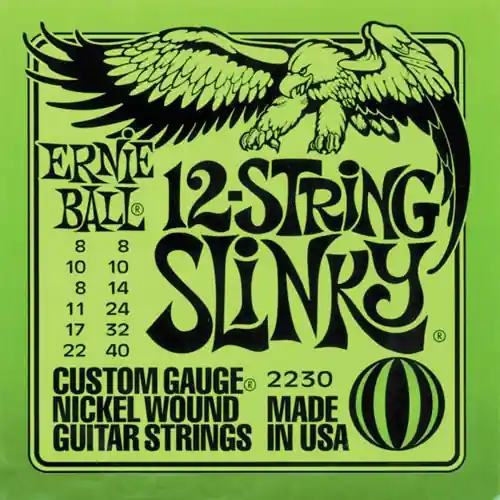 EB2230 12-String Slinky Super-Preis