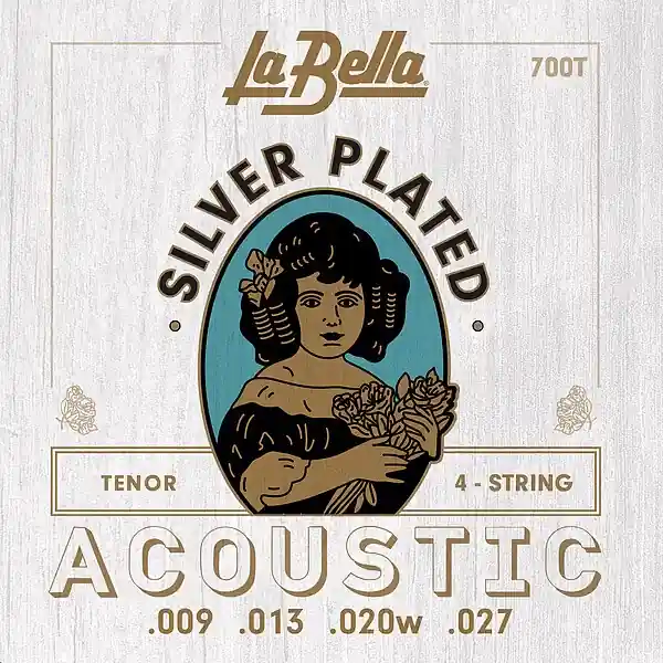 Solange Der Vorrat Reicht 700T Acoustic Tenor Guitar sil