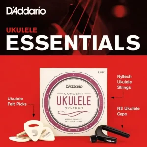 Finale Aktion Ukulele Essentials mit EJ88C