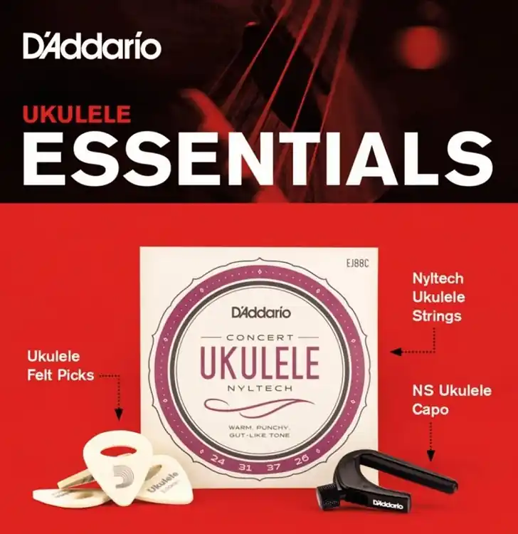 Finale Aktion Ukulele Essentials mit EJ88C
