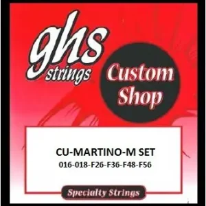 Custom Pat Martino M Aktuell
