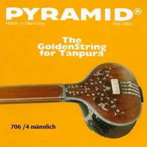 Abverkauf 706/4 Tanpura männlich 4s