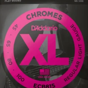 ECB81S Chromes FW short Scale Jetzt Bestellen
