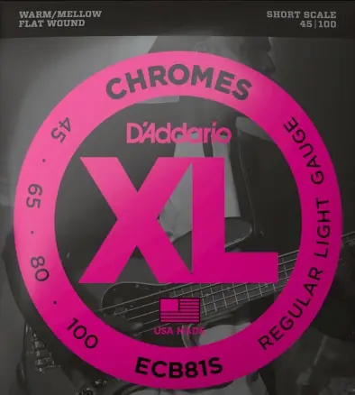 ECB81S Chromes FW short Scale Jetzt Bestellen