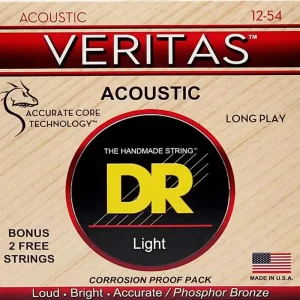 VTA12 Veritas 12-54 Acoustic Meistverkauft