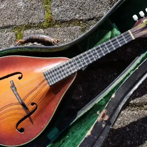 2-15 Mandolin 1948 Highlight