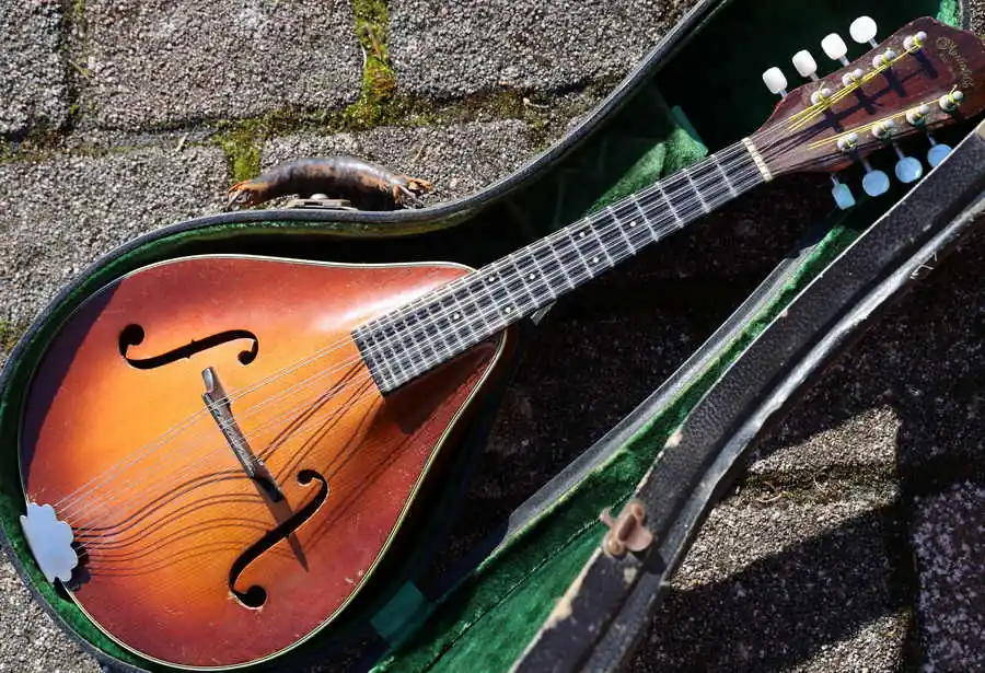 2-15 Mandolin 1948 Highlight