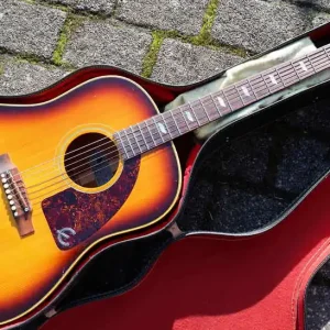 Bestseller Texan FT-79 1967 new frets