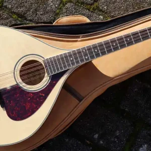 Garantierte Lieferung TM325 celtic octave Mandolin