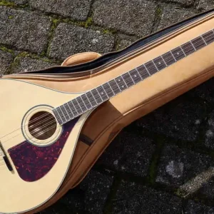 Top-Angebot TM375 irish Bouzouki mit Bag