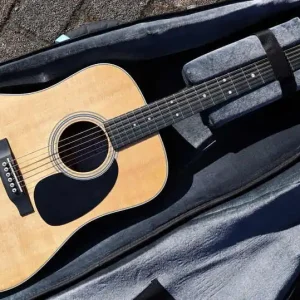SDR-1 vollmassiv Fishman PU Sale