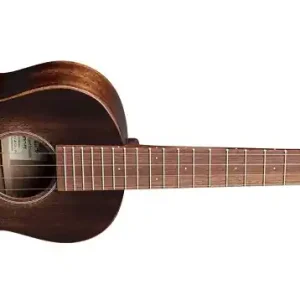 T1 Tenor Uke Streetmaster Schneller Versand