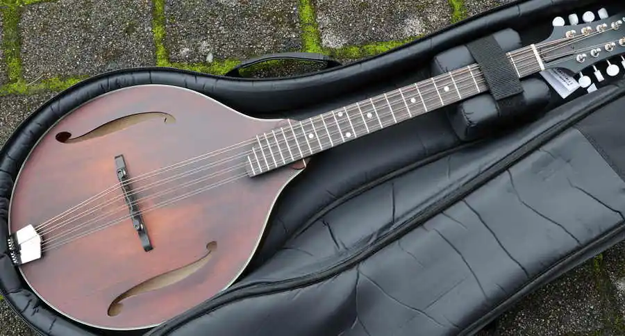 MDO305 octave Mandolin Sale