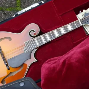 MD615 F-Style Goldburst Pickup Preis Gesenkt
