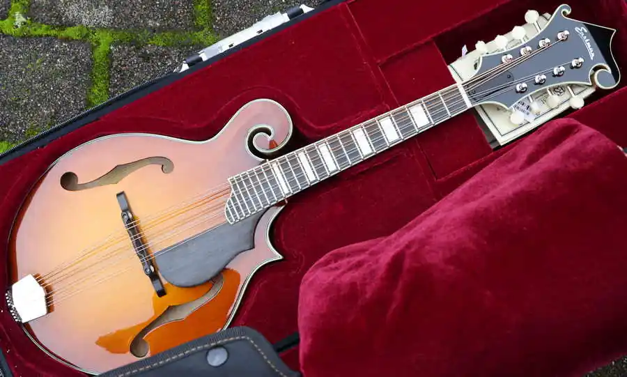 MD615 F-Style Goldburst Pickup Preis Gesenkt