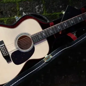 0000-40 M 12String Custom Shop Top-Preis
