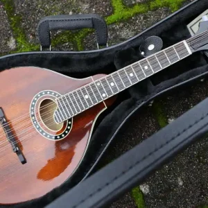 Begrenztes Angebot MD504 CS A-Style Mando case