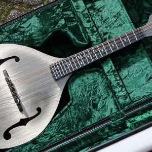 Carbon Timber Mandolin PU Case Billig