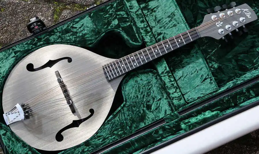 Carbon Timber Mandolin PU Case Billig