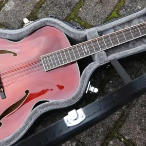 Sofort Bestellen MDC805 Mandocello