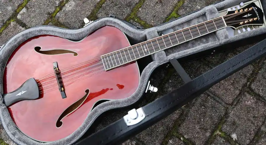Sofort Bestellen MDC805 Mandocello