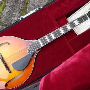 MDO605 octave Mandolin K&K PU Angebot