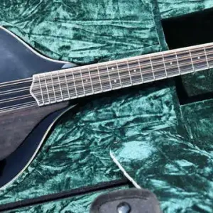 Bestpreis M5-O-BT octave Mandolin black
