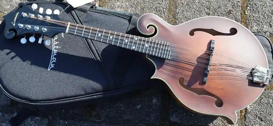 MD315LH F-Style Mando lefty Geprüft