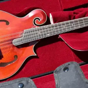 MDA815 F-Style Mandola Preisknaller