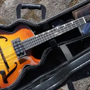 Gratis Versand ER-M-GB El Rey Elec. Mandolin