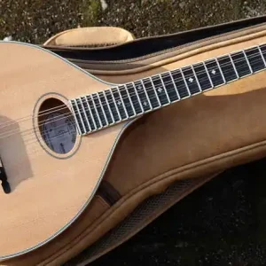 TM250 celtic Mandolin mit bag Direktkauf
