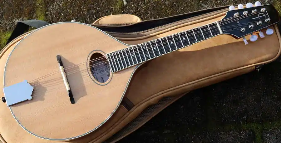 TM250 celtic Mandolin mit bag Direktkauf