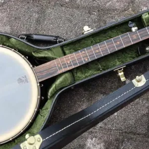 Knallerangebot Vintage Star Banjo 12 dobson