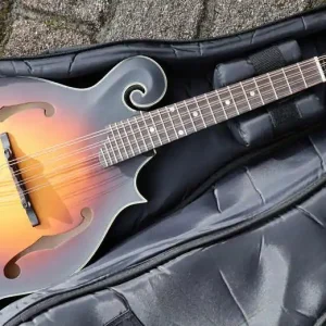 MDA315E SB F-Style Mandola Letzte Chance