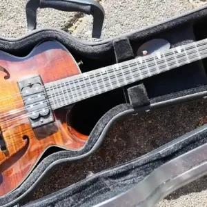 ER-M El Rey Electric Mandolin Preisknaller